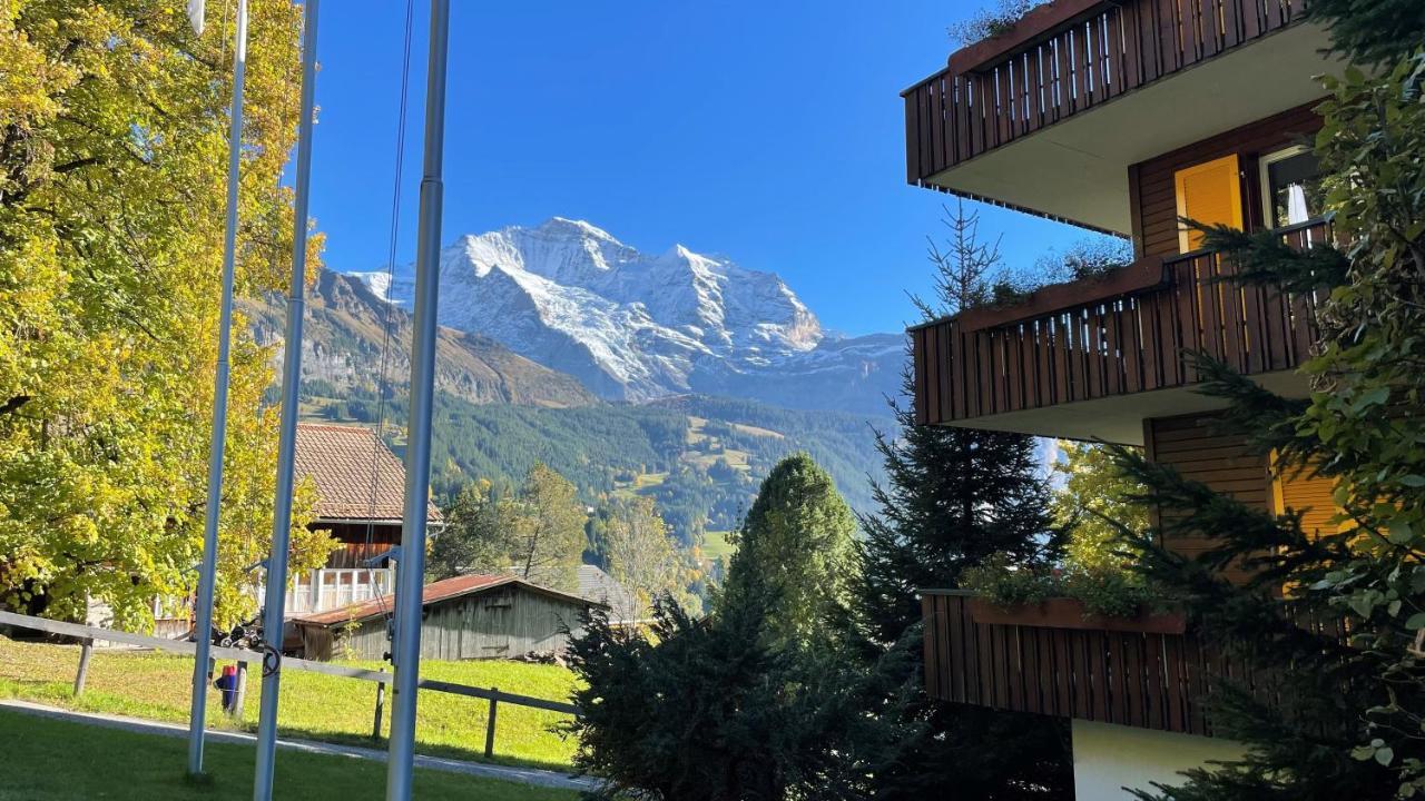 Bellevue - Traditional Swiss Hideaway 3* Wengen